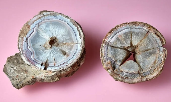 Phát hiện trứng khủng long 60 triệu năm chứa đá mã não