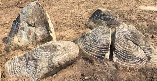 Phát lộ nhiều khối đá cổ khắc ruộng bậc thang ở Mù Cang Chải