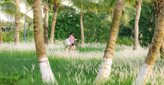 Sống gần gũi với thiên nhiên giúp chống lại bệnh tật, tốt cho tâm lý