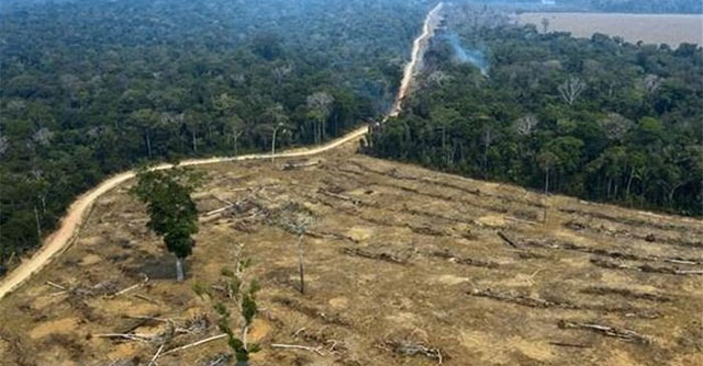 Sự thèm ăn của con người khiến hành tinh sắp hết ngưỡng chịu đựng