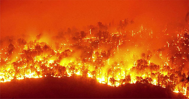 Tại sao rừng ở châu Mỹ La-tinh ngày càng dễ bốc cháy?