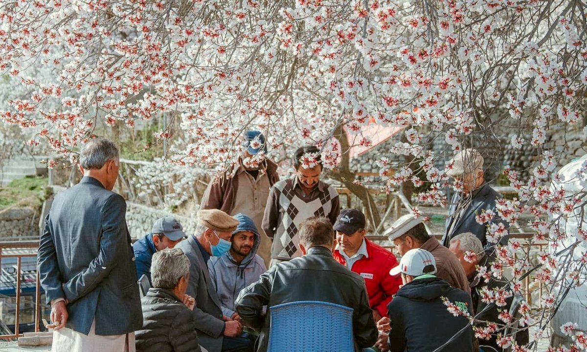 Thung lũng trường thọ ở Pakistan mùa hoa nở