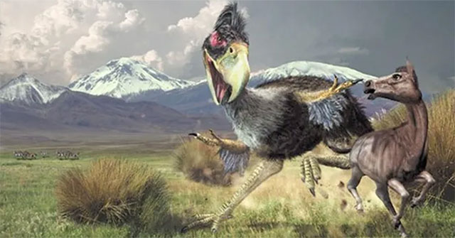 Top 10 loài chim tiền sử hung ác nhất trên đời