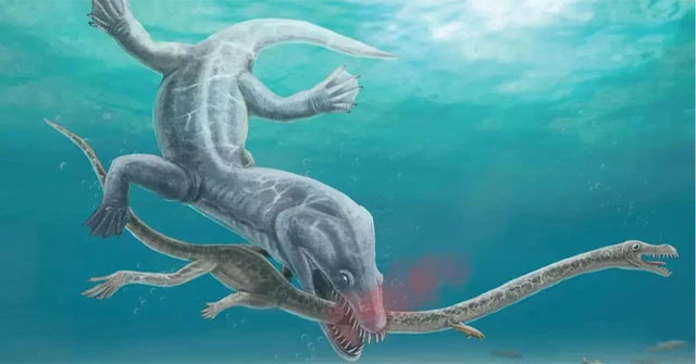Top 5 loài khủng khiếp nhất của đại dương quái vật vừa lộ diện trong năm
