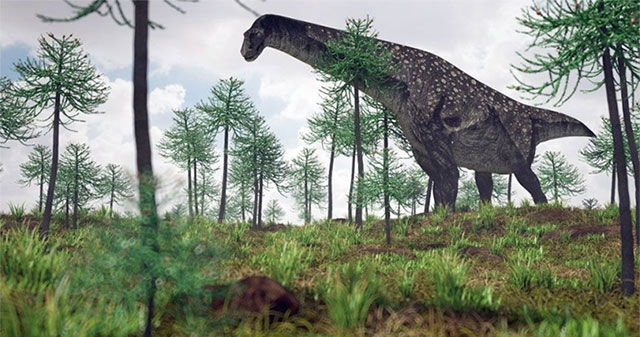 Top 8 loài khủng long lớn nhất Trái đất thời tiền sử