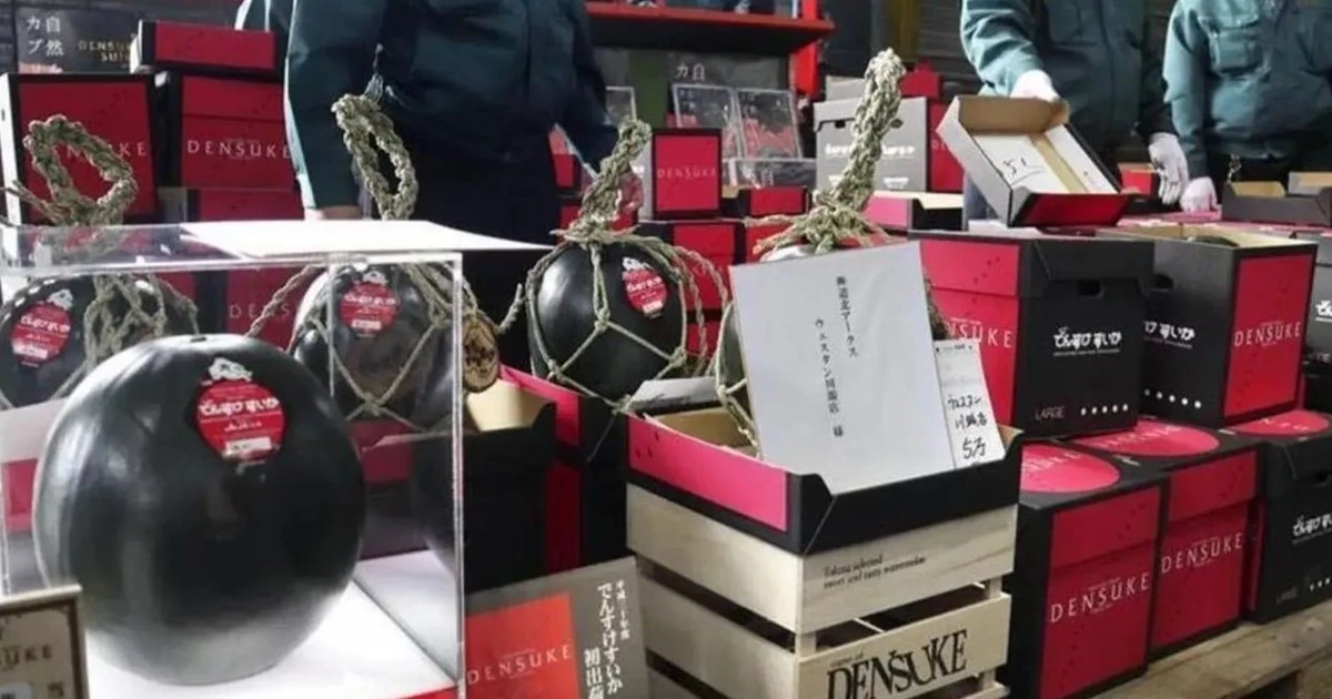 Top 8 loại quả đắt nhất hành tinh, có tiền mua cũng khó