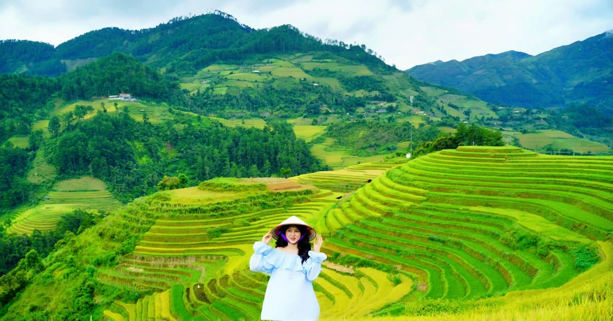 Tour 24 giờ ở Mù Cang Chải, chọn điểm nào để ngắm trọn mùa vàng?