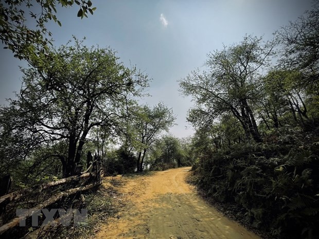 Tour khám phá vẻ đẹp hoang sơ của đỉnh Lùng Cúng ở Yên Bái