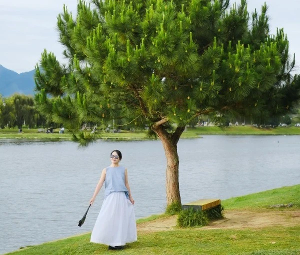 Trải Nghiệm Bình Yên: Dạo Quanh Hồ Xuân Hương Đẹp Nhất Đà Lạt