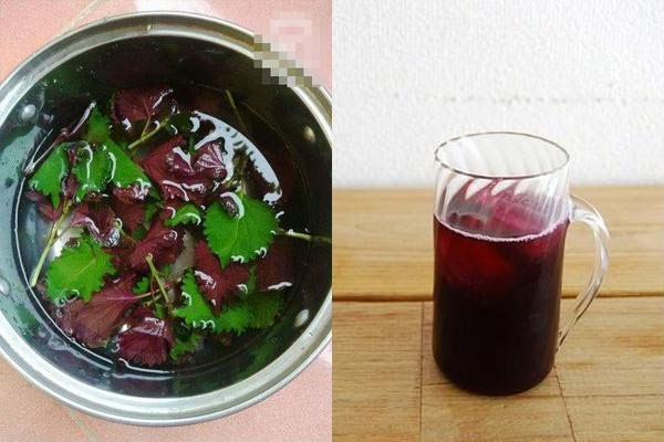 Uống nước lá tía tô có tác dụng và tác hại đối với sức khỏe như thế nào?