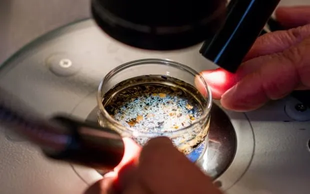 Vì sao người dân Đông Nam Á dễ nhiễm vi nhựa nhất thế giới?