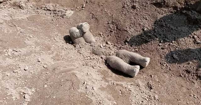 Vì sao voi chôn voi con đã chết với tư thế chổng vó lên trời? 