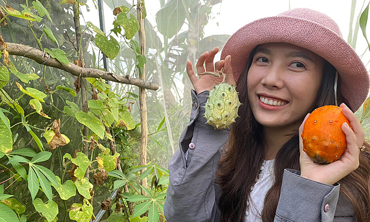 Vợ chồng bỏ phố về quê, trồng hàng trăm loại cây độc lạ