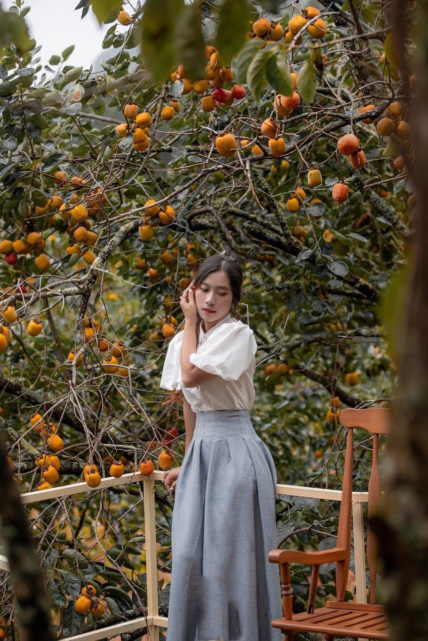 Rừng Nhiệt Đới Cafe