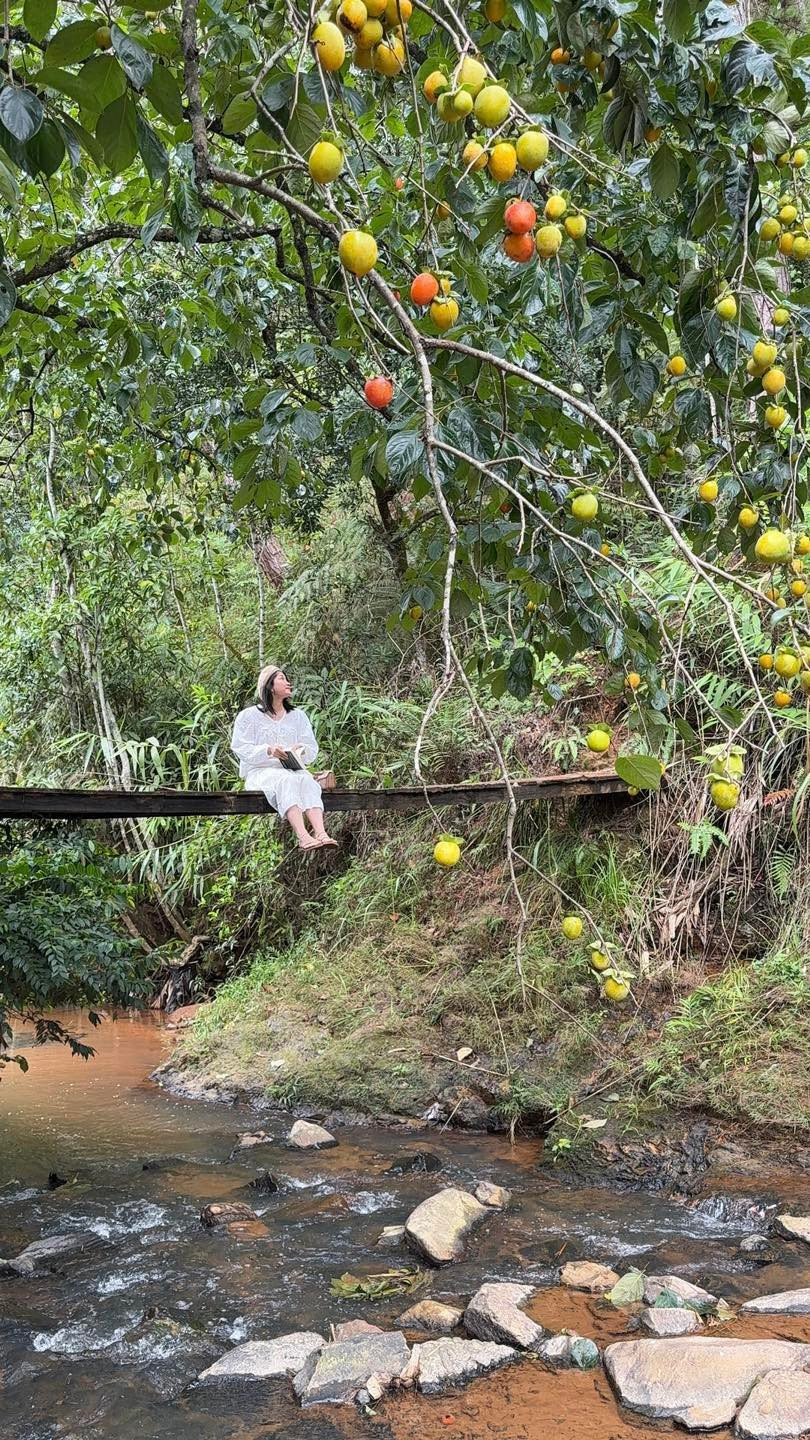 Bao tiền một mớ bình yên