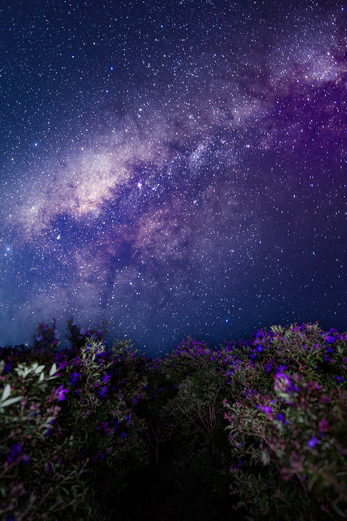 Ngoài trải nghiệm thiên nhiên, Suối Bon còn giữ được nét mộc mạc của bản vùng cao. Người Thái, người Mông ở đây sinh sống lâu đời, vẫn duy trì nhiều phong tục truyền thống. Ảnh Nguyễn Hồng Nhật