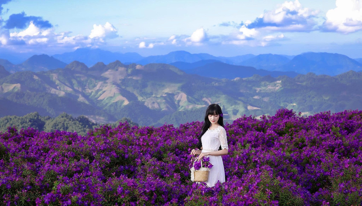 Trên hành trình đến Suối Bon, khung cảnh núi non hùng vĩ xen lẫn những vườn mận, nương ngô và rừng thông khiến du khách cảm nhận rõ nét vẻ bình yên, trong lành của miền sơn cước. Ảnh Lê Hải