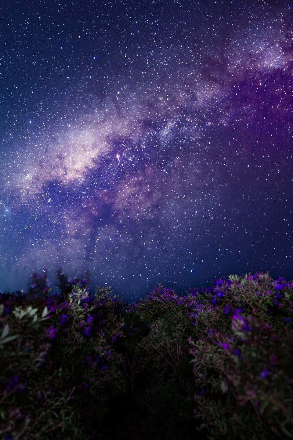 Khoảnh khắc khi dải ngân hà hiện lên, trải dài như một dải lụa sáng lấp lánh giữa màn đêm, đem lại cảm giác vừa kỳ diệu vừa bình yên mà hiếm nơi nào có được. Ảnh Nguyễn Hồng Nhật