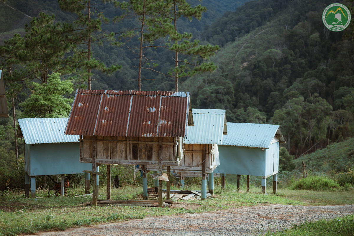 Vẻ đẹp độc đáo của những kho lúa mini tại Kon Tu Ma