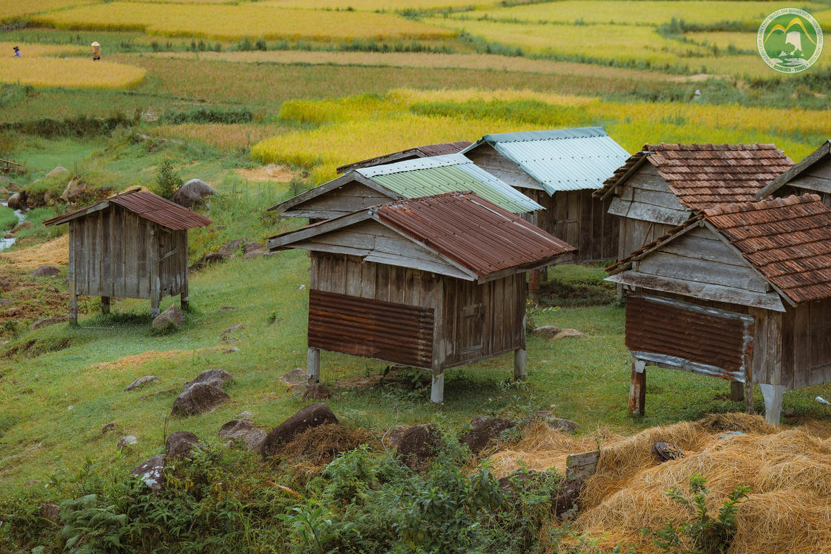 Kho lúa mini trông như những nhà sàn tí hon bằng tre, gỗ