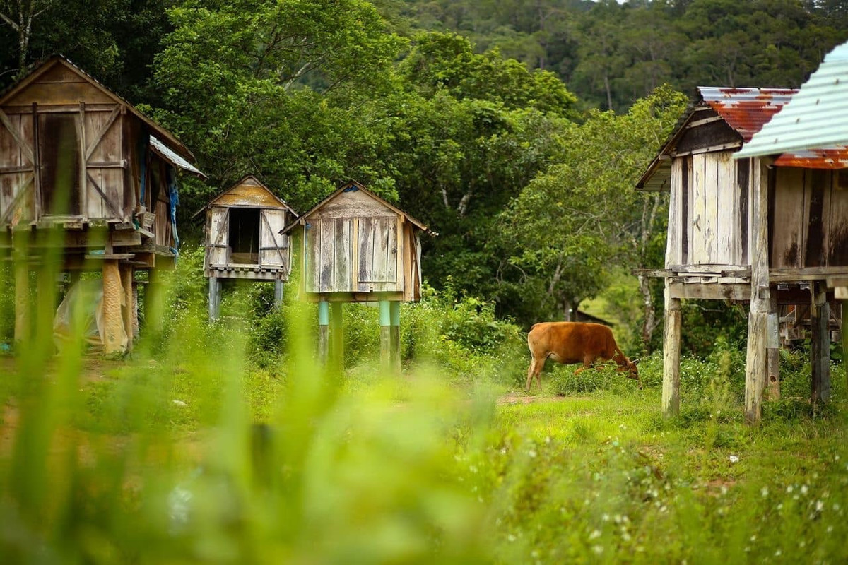 Trải nghiệm đời sống cộng đồng Xơ Đăng tại Kon Tu Ma