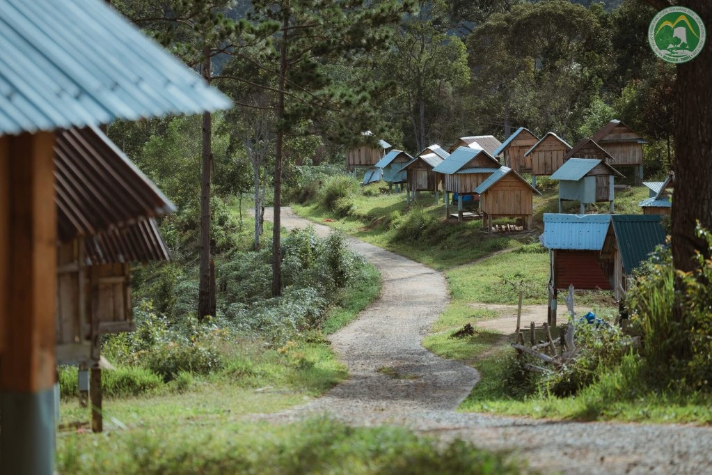 Hoạt động trải nghiệm thú vị cùng người dân bản địa