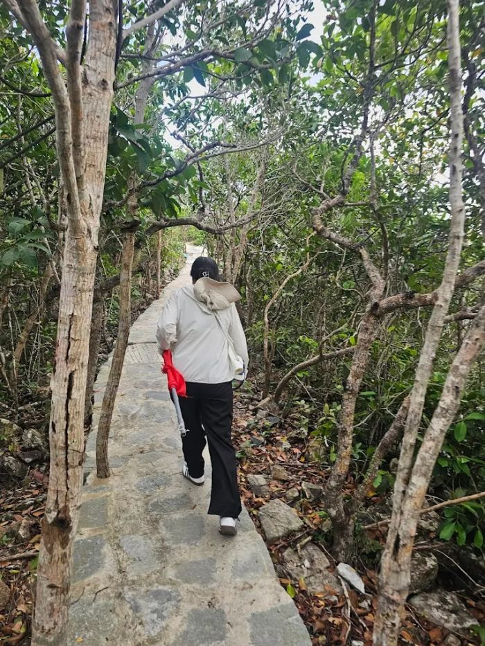 Ngoài cảnh sắc hùng vĩ, trekking núi Lò Vôi còn là cơ hội để du khách hòa mình vào thiên nhiên nguyên sơ. Những vách đá dựng đứng, tán cây cổ thụ trăm tuổi, không khí trong lành của rừng già tạo nên trải nghiệm khó quên. Ảnh Trung Tín