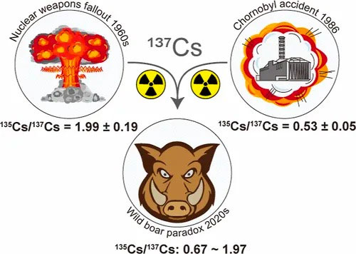 Động vật rừng ở Bavaria và những nơi khác bị nhiễm phóng xạ Caesium từ vụ nổ Chernobyl