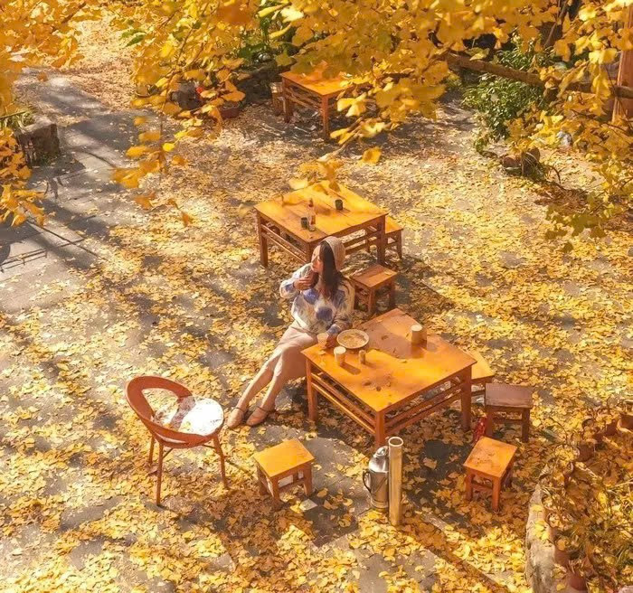 Cảnh sắc ấy gợi cảm giác vừa thanh bình vừa lãng mạn, khiến bất cứ ai cũng có cảm giác như đang lạc vào một bức tranh thủy mặc. Ảnh PYS Travel