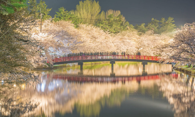 Lễ hội hoa anh đào ở công viên Từ cuối tháng 4 đến đầu tháng 5, Công viên Hirosaki ở Tỉnh Aomori có một số loài hoa anh đào đẹp nhất Nhật Bản. Ấn tượng về quy mô và khung cảnh đẹp như tranh vẽ, hoa anh đào ở Công viên Hirosaki là một trong những địa điểm hàng đầu của Nhật Bản để ngắm hoa anh đào hay còn gọi là hanami.