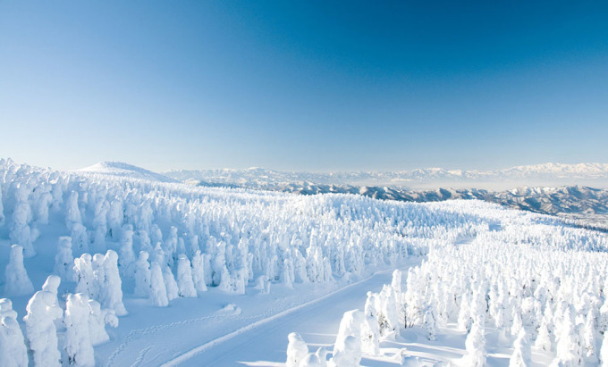 Quái vật tuyết trên núi ZaoTháng 1-3 hàng năm, núi Zao ở tỉnh Yamagata thu hút hàng nghìn du khách đến trượt tuyết, đi cáp treo ngắm cảnh khu rừng quái vật tuyết hay Juhyo.Juhyo hình thành từ tuyết và băng bồi đắp trên các cành và thân cây. Chúng xuất hiện vào mùa đông ở Yamagata, khi những cơn bão và gió Siberia thổi về vùng núi Zao làm cây cối phủ đầy băng tuyết ẩm ướt. Đến khi cây cối đóng băng và tuyết phủ trắng xóa thì nơi này nhìn như khu rừng quái vật tuyết thu hút du khách khắp nơi tới khám phá. Ảnh: Power Byrne Stories