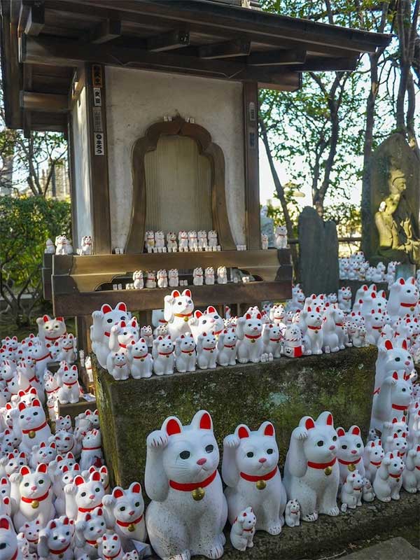 Maneki-neko cũng có nhiều màu sắc khác nhau, tùy thuộc vào mong muốn của chủ nhân.