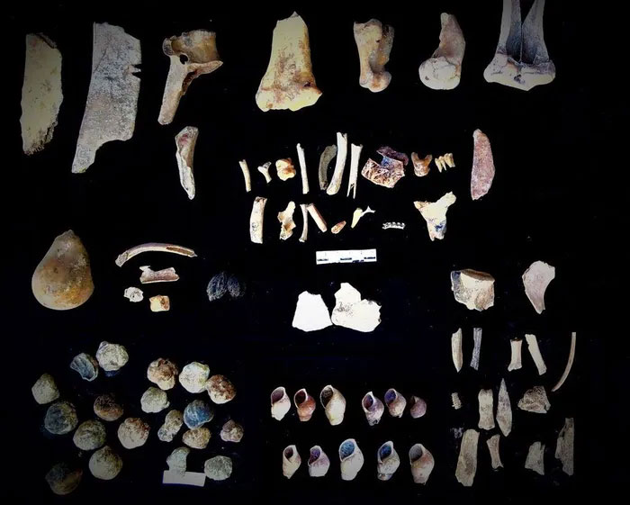 Xương răng động vật và vỏ nhuyễn thể ốc.