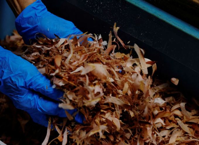 Ngoài ra, katsuobushi bào mỏng còn là topping quen thuộc trong nhiều món mì, sushi, thức ăn vặt, đặc biệt là takoyaki.