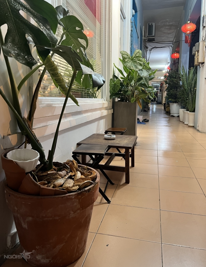 Quán cà phê núp chung cư yên bình ở Sài Gòn - 7