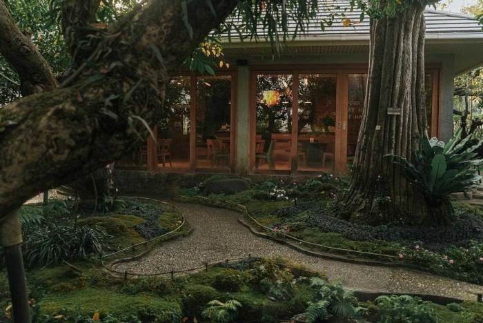 Quán cafe tựa như 'vườn địa đàng' ở Thái Lan co gì?