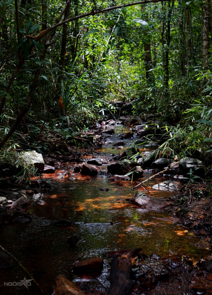 Khác với nhiều con suối ở Phú Quốc, nước của suối Đá Ngọn hiếm khi cạn do vị trí ở thượng nguồn hồ Dương Đông. Nhờ vậy, dù trekking mùa khô, nóng nực, du khách vẫn tận hưởng được làn nước mát. Để khám phá hết suối Đá Ngọn, du khách bắt đầ từ thác thứ nhất được dân địa phương gọi là thác Đầu Lâu, tới thác thứ hai ở độ cao tầm 300 m. Đi thêm năm tầng thác nữa, du khách mới tới đỉnh của suối Đá Ngọn (có bảy tầng).