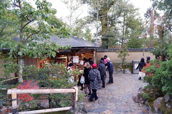 Ngôi đền dát vàng nổi bật trên tuyết trắng ở Nhật Bản - 3