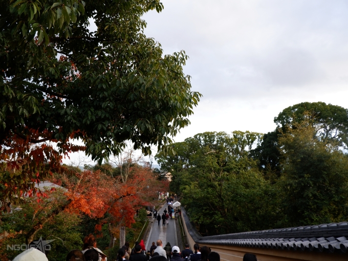 Ngôi đền dát vàng nổi bật trên tuyết trắng ở Nhật Bản - 6