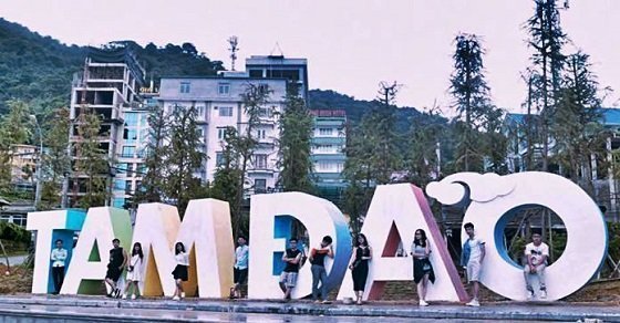 Chia sẻ kinh nghiệm phượt Tam Đảo hai ngày một đêm