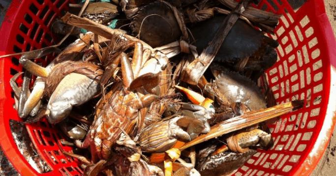 Thưởng thức những món hải sản tươi ngon tại biển Ngọc Thạnh Phú