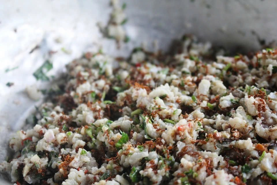 Người Rơ Măm là một trong những dân tộc ít người nhất ở Việt Nam, với chưa đầy 500 nhân khẩu sống tập trung tại làng Le. Gắn bó lâu đời với rừng, họ sở hữu một kho tàng ẩm thực hoang dã, trong đó cá gỏi kiến vàng (tiếng Rơ Măm gọi là Plat) là món quý hiếm nhất – vừa bổ dưỡng, vừa mang giá trị văn hóa sâu sắc. Ảnh danviet