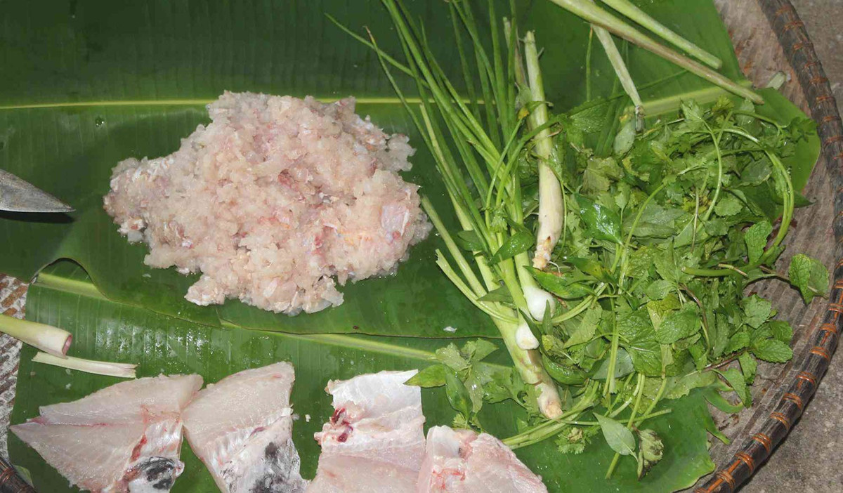 Cá gỏi được làm từ cá suối tươi – loại cá nhỏ, thịt săn chắc – kết hợp với trứng và thân kiến vàng. Theo kinh nghiệm của đồng bào, chỉ chọn những tổ kiến non hoặc nhiều trứng, bắt vào đúng mùa khô, khi trứng kiến to tròn, trắng đục và dậy mùi thơm. Ảnh danviet