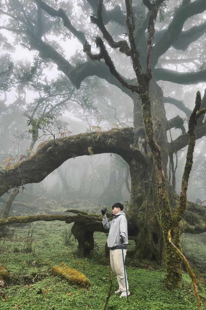 Khiêm đứng dưới một gốc cây cổ thụ kỳ lạ trong rừng nguyên sinh trên đường trekking lên đỉnh (22/12/2022). Ảnh: NVCC